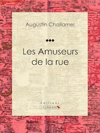 Les Amuseurs de la rue - Ligaran - E-Book