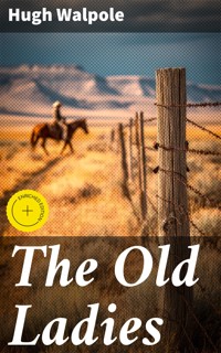 The Old Ladies - Hugh Walpole - E-Book
