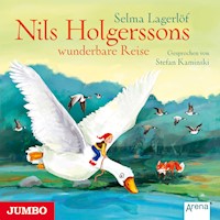 Nils Holgerssons wunderbare Reise - Selma  Lagerlöf - Hörbuch