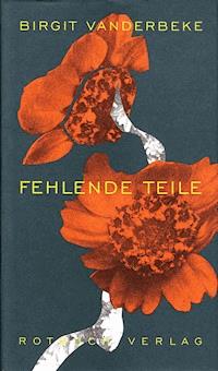 Fehlende Teile - Birgit Vanderbeke - E-Book