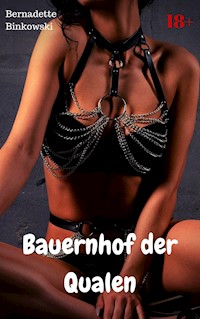 Bauernhof der Qualen - Bernadette Binkowski - E-Book