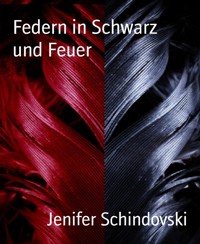 Federn in Schwarz         und Feuer - Jenifer Schindovski - kostenlos E-Book