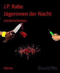 Jägerinnen der Nacht - J.P. Rabo - E-Book