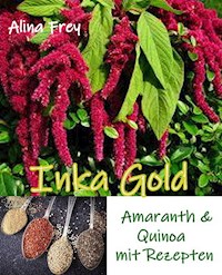 Inka Gold - Alina Frey - E-Book