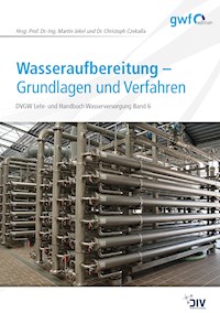 Wasseraufbereitung - Grundlagen und Verfahren - Martin Jekel - E-Book