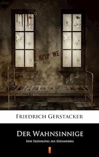 Der Wahnsinnige - Friedrich Gerstäcker - E-Book