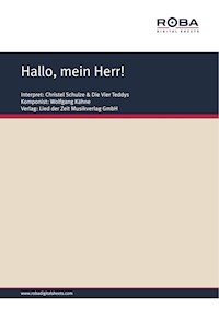 Hallo, mein Herr! - Wolfgang Kähne - E-Book