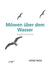 Möwen über dem Wasser - Heinz Nigg - E-Book