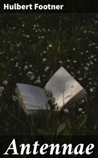 Antennae - Hulbert Footner - E-Book