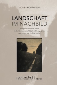 Landschaft im Nachbild - Agnes Hoffmann - E-Book