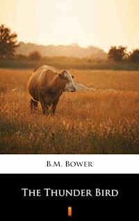 The Thunder Bird - B.m. Bower - E-Book