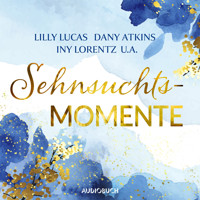 Sehnsuchtsmomente - Hanna Caspian - Hörbuch