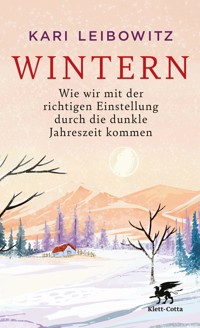 Wintern - Kari Leibowitz - E-Book