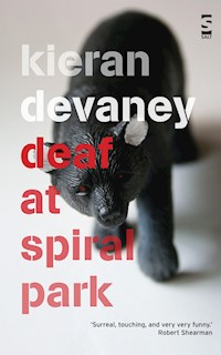 Deaf at Spiral Park - Kieran Devaney - E-Book