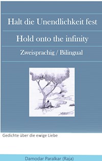 Halt die Unendlichkeit fest Hold onto the Infinity - Damodar Paralkar - E-Book