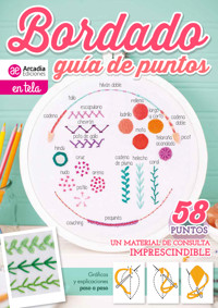 Bordado guia de puntos - Karina Murphy - E-Book