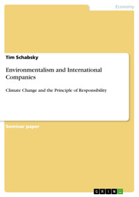 Environmentalism and International Companies - Tim Schabsky - E-Book