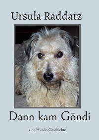 Dann kam Göndi - Ursula Raddatz - E-Book