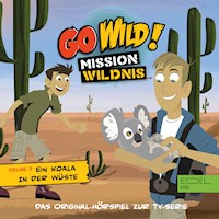 Folge 7: Die Großstadtfalken / Ein Koala in der Wüste (Das Original Hörspiel zur TV-Serie) - Thomas Karallus - Hörbuch