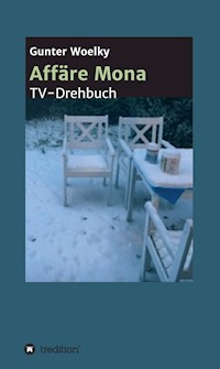 Affäre Mona - Gunter Woelky - E-Book