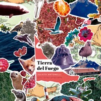 Tierra del Fuego - Julieta Antonelli - Hörbuch