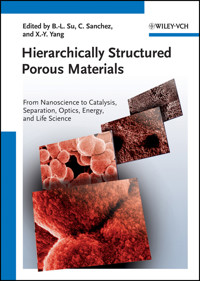 Hierarchically Structured Porous Materials -  - E-Book