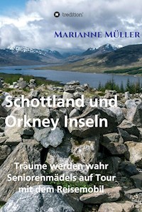Träume werden wahr, Band 3 - Marianne Müller - E-Book