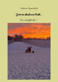 Gott sei dank nur Krebs - Stefanie Koppenhöfer - E-Book
