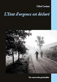 L'Etat d'urgence est déclaré - Chloé Cordani - E-Book