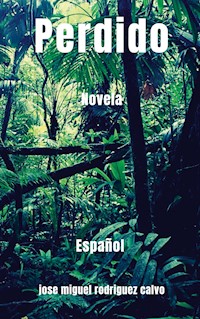 Perdido - Jose Miguel Rodriguez Calvo - E-Book