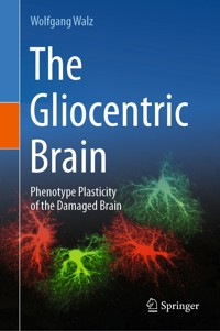 The Gliocentric Brain - Wolfgang Walz - E-Book
