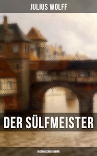 Der Sülfmeister: Historischer Roman - Julius Wolff - E-Book