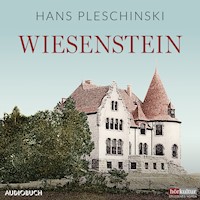 Wiesenstein - Hans Pleschinski - Hörbuch