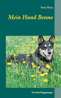 Mein Hund Benno - Petra Weise - E-Book