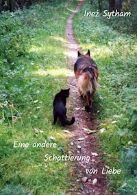 Eine andere Schattierung von Liebe - Ineź Sytham - E-Book