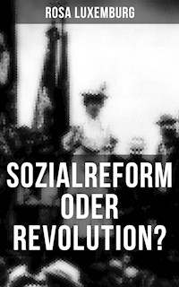 Sozialreform oder Revolution? - Rosa Luxemburg - E-Book