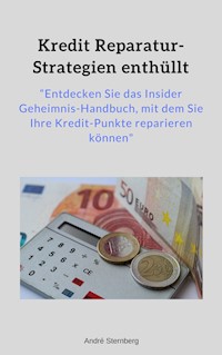 Kredit Reparatur-Strategien enthüllt - Andre Sternberg - E-Book