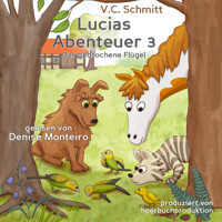 Lucias Abenteuer 3 - V. C. Schmitt - Hörbuch