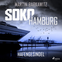 SoKo Hamburg: Hafengesindel (Ein Fall für Heike Stein, Band 18) - Martin Barkawitz - Hörbuch