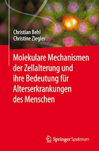 Molekulare Mechanismen der Zellalterung und ihre Bedeutung für Alterserkrankungen des Menschen - Christian Behl - E-Book