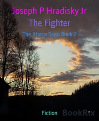 The Fighter - Joseph P Hradisky Jr - E-Book