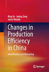Changes in Production Efficiency in China - Bing Xu - E-Book