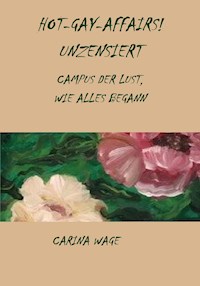 Hot-Gay-Affairs! Unzensiert - Carina Wage - E-Book