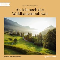 Als ich noch der Waldbauernbub war - Peter Rosegger - Hörbuch