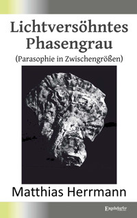 Lichtversöhntes Phasengrau - Matthias Herrmann - E-Book