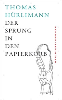 Der Sprung in den Papierkorb - Thomas Hürlimann - E-Book