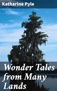 Wonder Tales from Many Lands - Katharine Pyle - E-Book