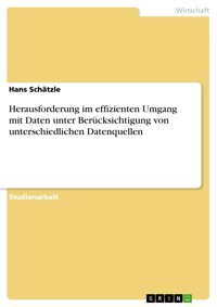Herausforderung im effizienten Umgang mit Daten unter Berücksichtigung von unterschiedlichen Datenquellen - Hans Schätzle - E-Book