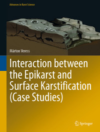 Interaction between the Epikarst and Surface Karstification (Case Studies) - Márton Veress - E-Book