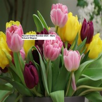 Nouvel Ordre Mondial 2024 Mars - Eduard Wagner - Hörbuch